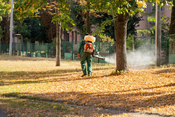 Best Rat Extermination Near Me  in Fredonia, KS